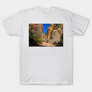 Lick Wash Trail Hike T-Shirt